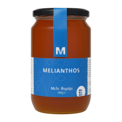 Μέλι Θυμάρι 950gr