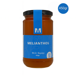 Μέλι Θυμαρίσιο 450gr